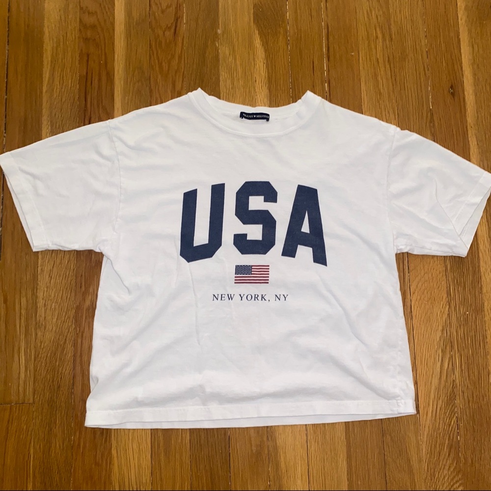 uea brandy melville crop top